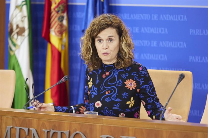 La portavoz adjunta del Grupo Por Andalucía, Esperanza Gómez, este miércoles en rueda de prensa. 