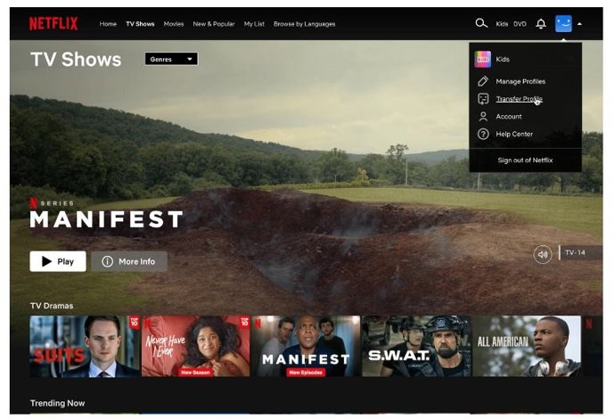 Transferencia de perfiles en Netflix