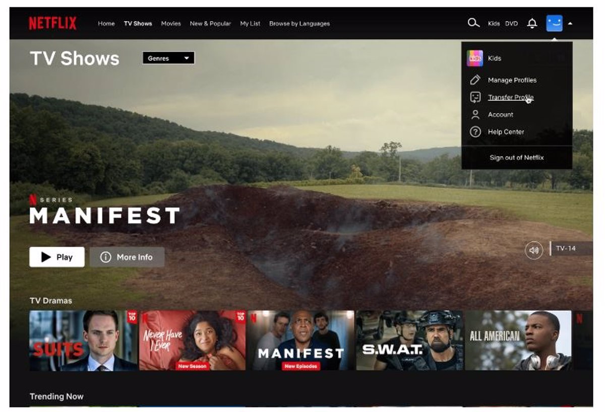 Portaltic Netflix Habilita La Funci N De Transferencia De Perfil Para Llevar Perfiles A Cuentas