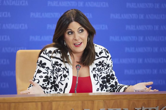 La portavoz del Grupo Parlamentario Socialista, Ángeles Férriz, este miércoles en rueda de prensa. 