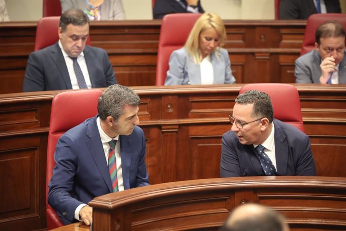 El presidente del PP de Canarias, Manuel Domínguez, departe con el diputado Poli Suárez