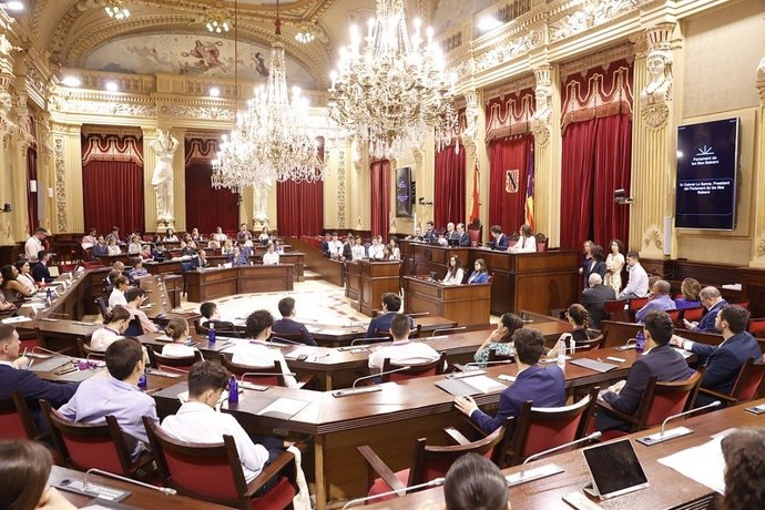Un centenar de universitarios participan en una simulación de actividad parlamentaria.