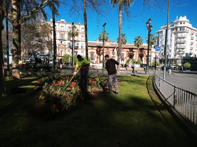 Archivo - Jardineros de Parques y Jardines en la Puerta Jerez de Sevilla.