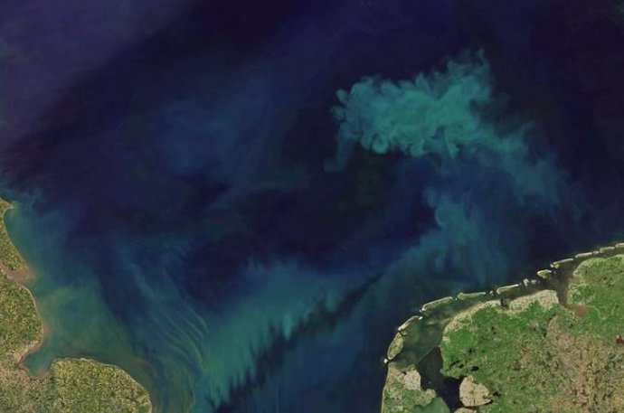 Para rastrear los cambios en el color del océano, los científicos analizaron las mediciones del color del océano tomadas por el espectrorradiómetro de imágenes de resolución moderada (MODIS) a bordo del satélite Aqua.