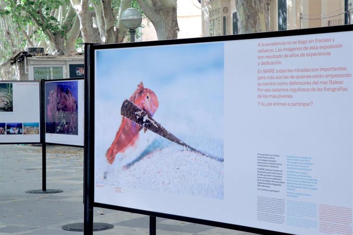 La exposición MARE sobre el mar Balear en La Rambla