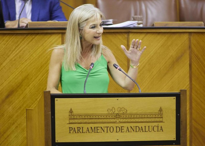 La consejera de Desarrollo Educativo, Patricia del Pozo, este miércoles durante su comparecencia en el Pleno del Parlamento.
