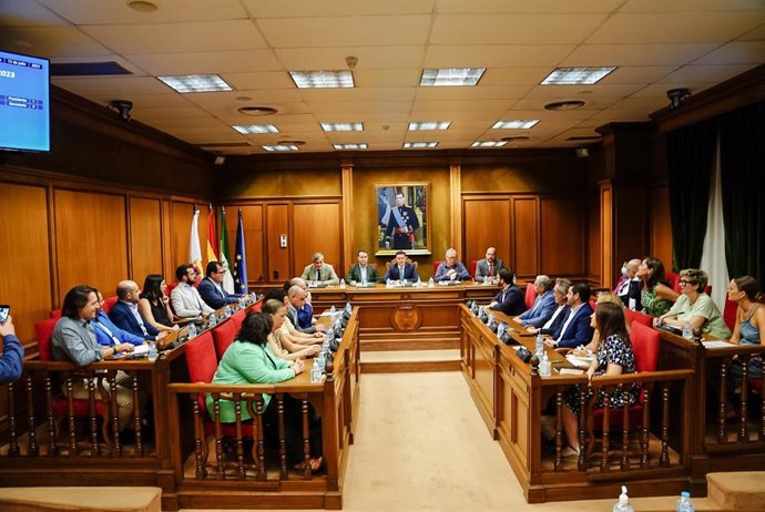 Pleno de la Diputación Provincial de Almería.