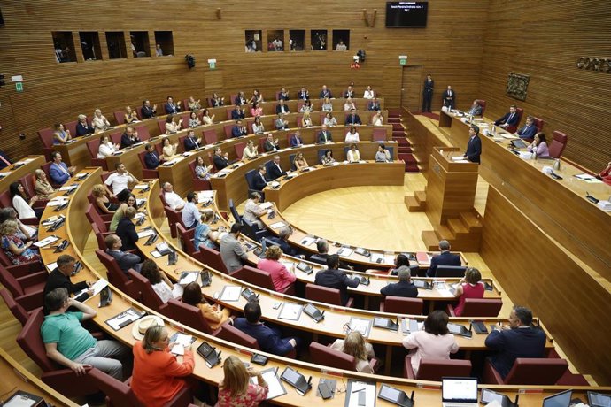 El presidente del PPCV, Carlos Mazón, interviene durante el pleno de investidura en las Corts Valencianes.