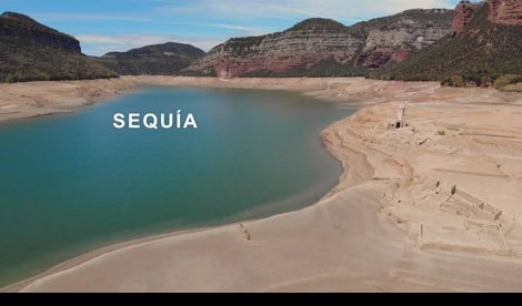 Comunicados Sociedad