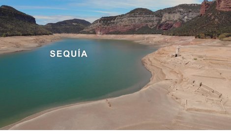 Comunicados Sociedad