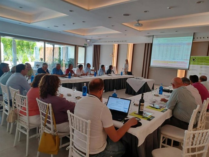 Sectorial vitivinícola de Cooperativas Agro-alimentarias Castilla-La Mancha.