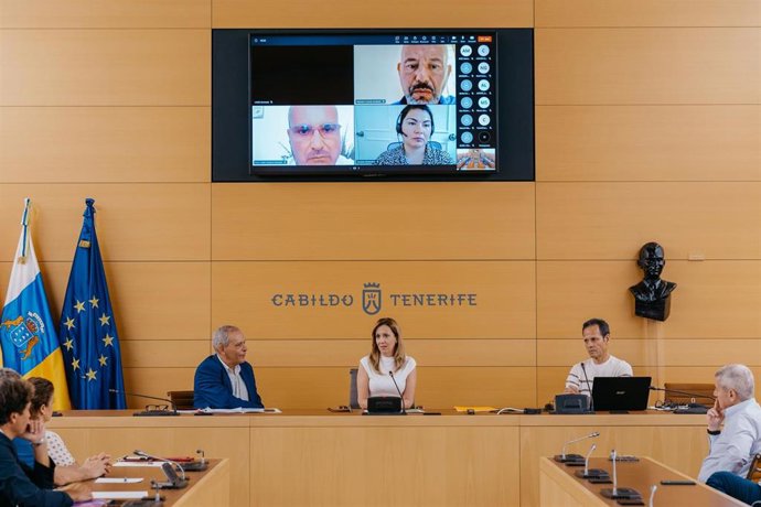 La presidenta del Cabildo de Tenerife, Rosa Dávila, en un encuentro con colectivos relacionados con el empleo