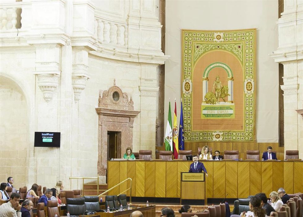 Imagen del Pleno del Parlamento andaluz mientras interviene el portavoz del Grupo Popular, Toni Martín.