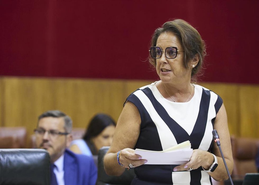 La consejera de Salud y Consumo, Catalina García, en el Pleno del Parlamento