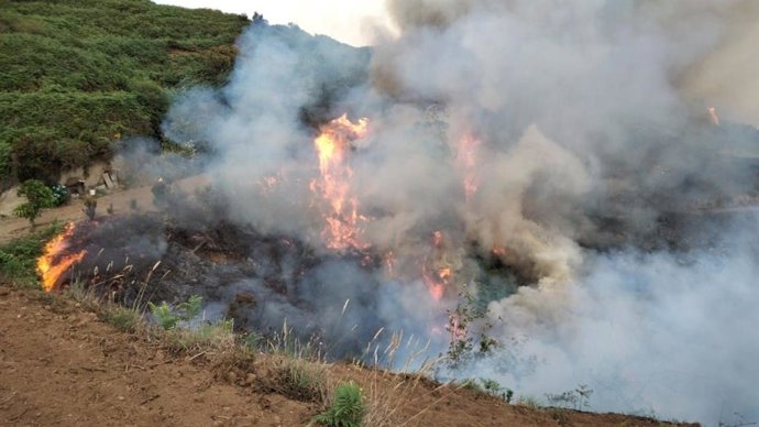 Conato de incendio en el barranco de Los Dornajos, en Los Realejos