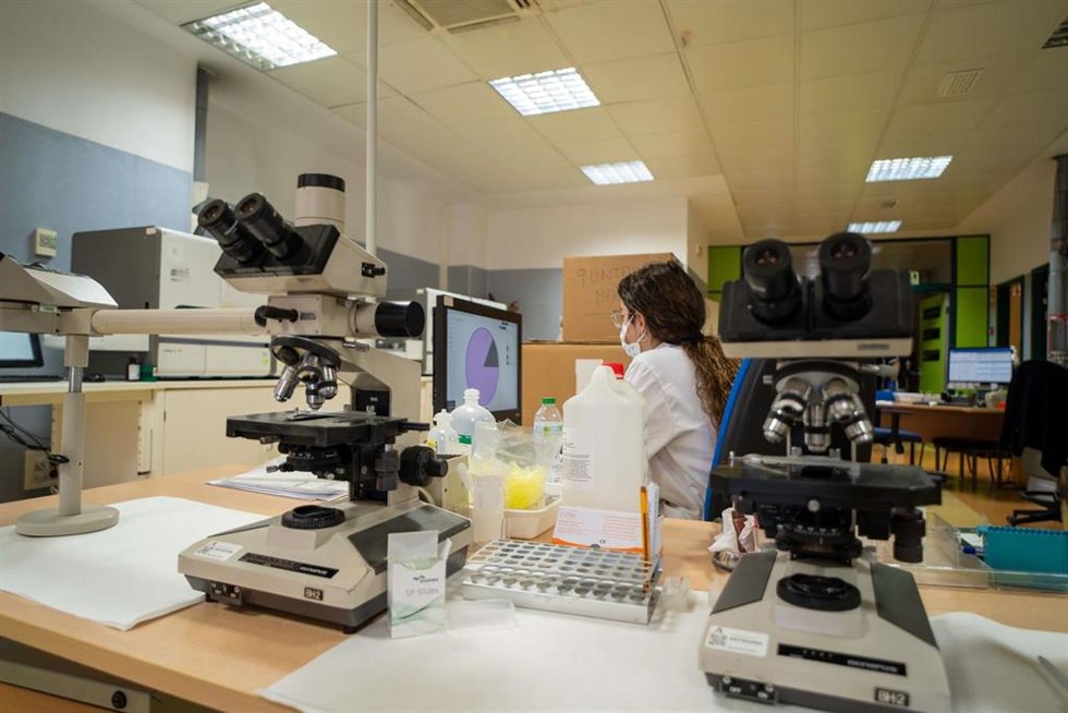 Pruebas en un laboratorio.
