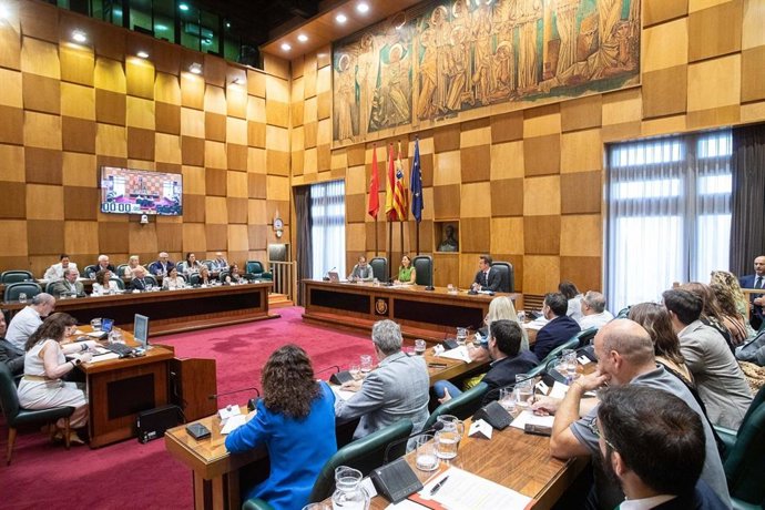 El pleno extraordinario del Ayuntamiento de Zaragoza para aprobar la organización interna