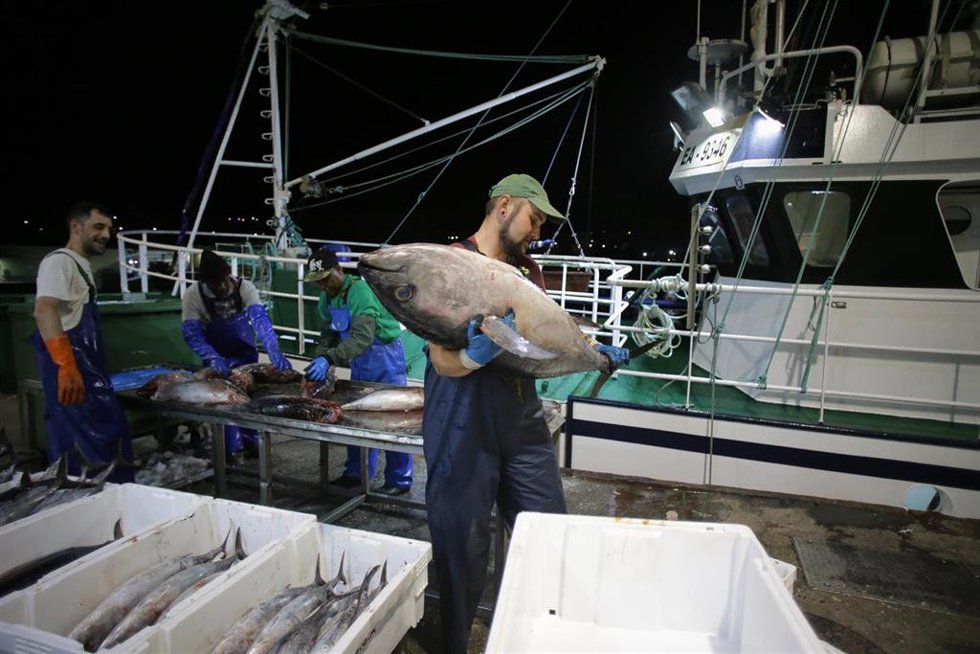 Marineros de un barco y trabajadores de lonja descargan las piezas pescadas.