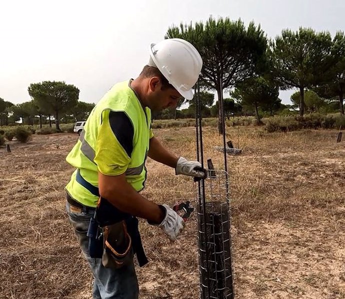 Protectores de plantas colocados por Endesa en el Parque Natural de Doñana (Huelva).