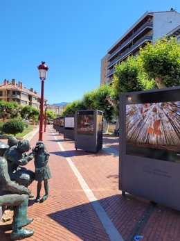 La exposición itinerante del XVI concurso de fotografía "Naturaleza de La Rioja" llega a Haro