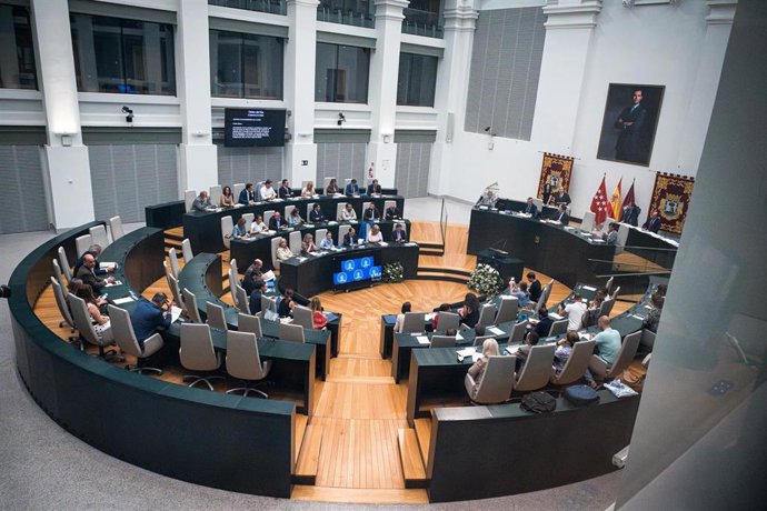 Vista general de un pleno extraordinario del Ayuntamiento de Madrid 