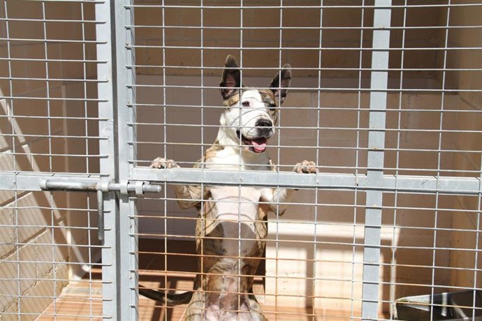 Nota De Prensa Sábado 15 De Julioi