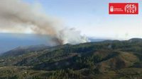 El incendio de Puntagorda (La Palma) afecta a 140 hectáreas, quema 11 viviendas y desaloja a 500 vecinos