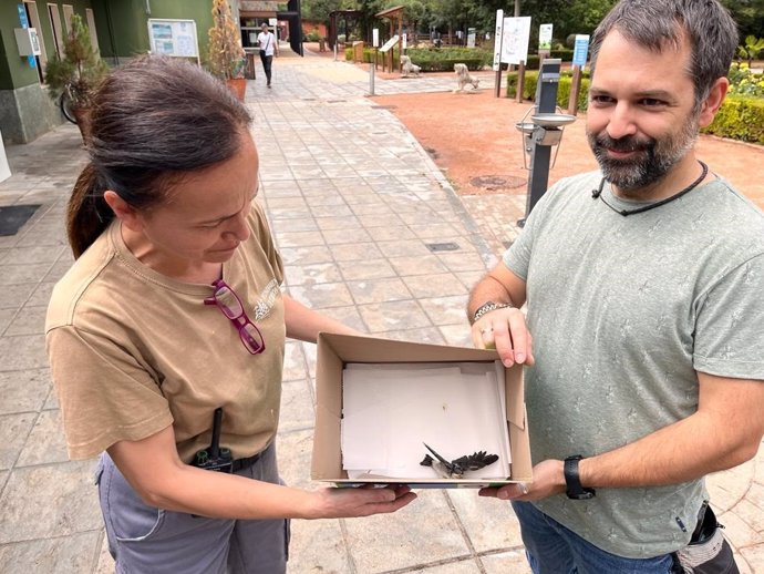 Archivo - Córdoba.- El CREA de Los Villares y voluntarios logran recuperar en 2022 más de 700 aves insectívoras