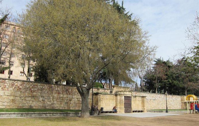Los parques de San Francisco y Jesuitas de Salamanca animarán a la lectura en la calle