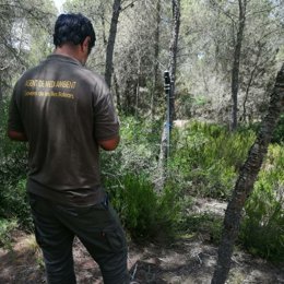 Agentes de Medio Ambiente realizan mediciones sonoras por la posible afectación del Reggaeton Beach Festival al Parque de Levante.