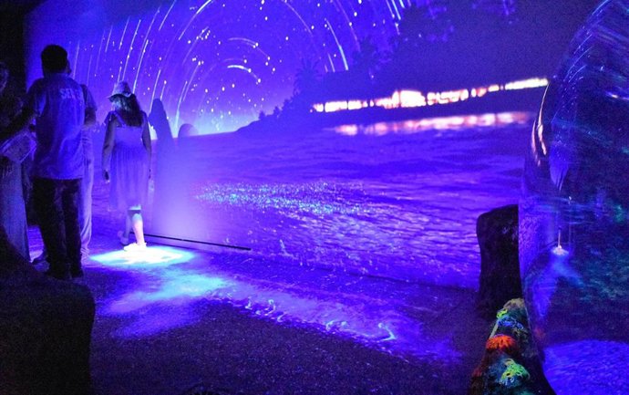 Sea Life Benalmádena presenta 'Noche en el mar', una nueva experiencia bioluminiscente