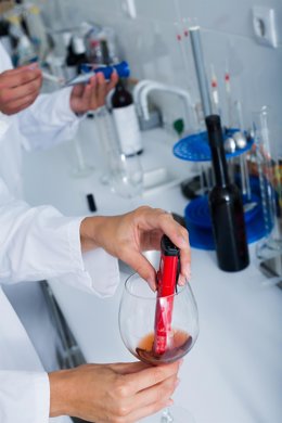 Archivo - Close up on hands testing wine quality in chemical laboratory