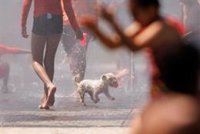 Más de 30 provincias estarán hoy en alerta por otra ola de calor, con Córdoba y Jaén en riesgo extremo y hasta 44ºC