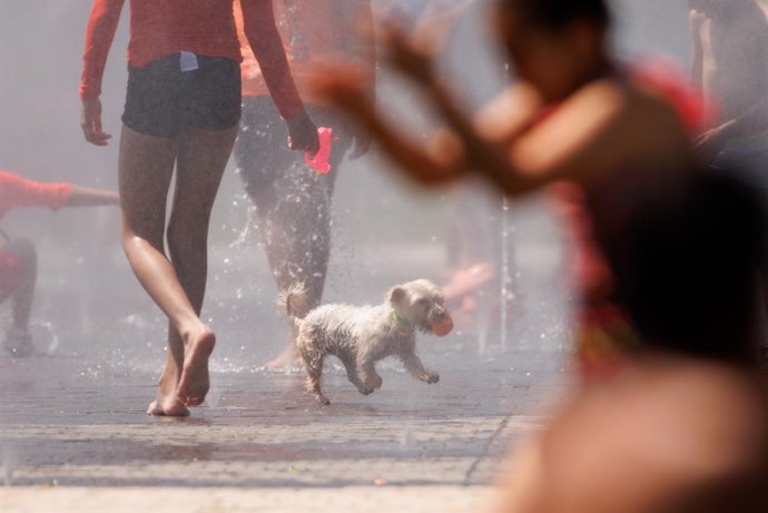 Un perro juego en el agua para refrescarse en Madrid Rio, a 26 de junio de 2023, en Madrid (España). La Agencia Estatal de Meteorología (Aemet) ha alertado de la primera ola de calor del verano que llega a Madrid con la activación de la alerta roja por 
