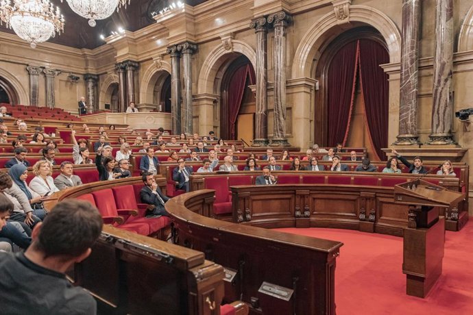 Archivo - El Parlament Aprova Dinterposar Recurs Al Ts Contra Lacord De La Jec De Retirar Lescó A Laura Borrs