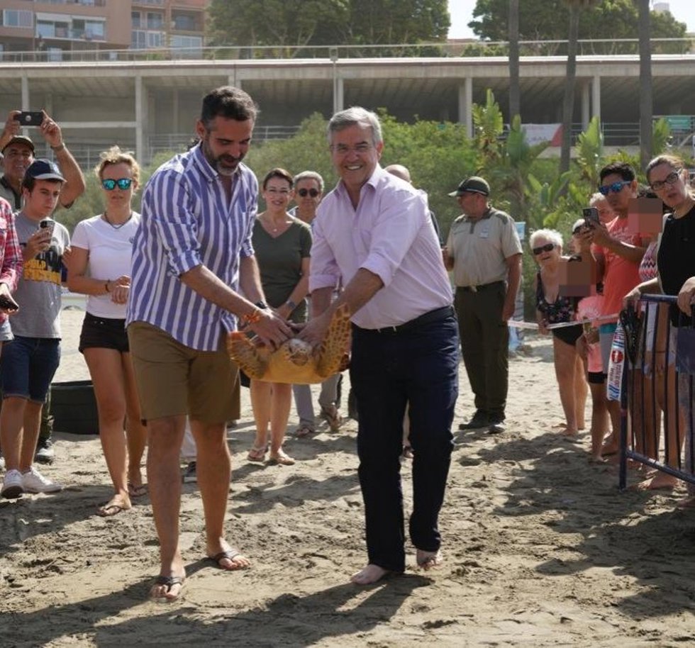 Suelta al mar en Estepona de una tortuga boba.