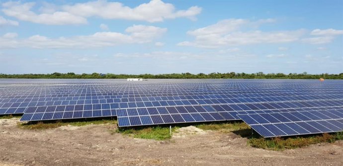 Archivo - Planta fotovoltaica.