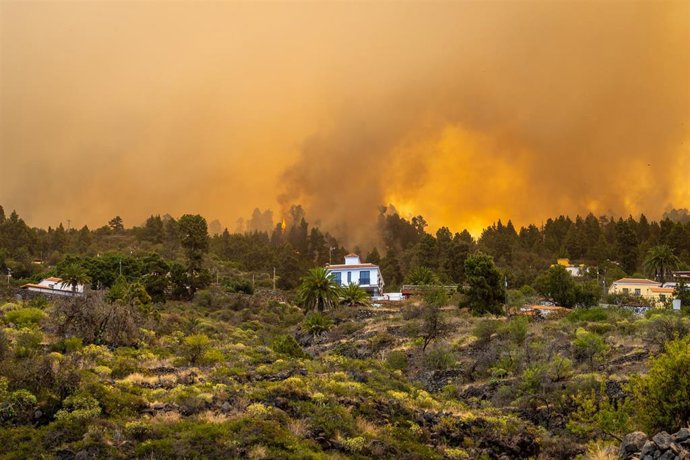 LLamas cerca de una vivienda en el incendio forestal declarado en  la Palma, a 15 de julio de 2023, en Puntagorda, La Palma, Canarias (España).