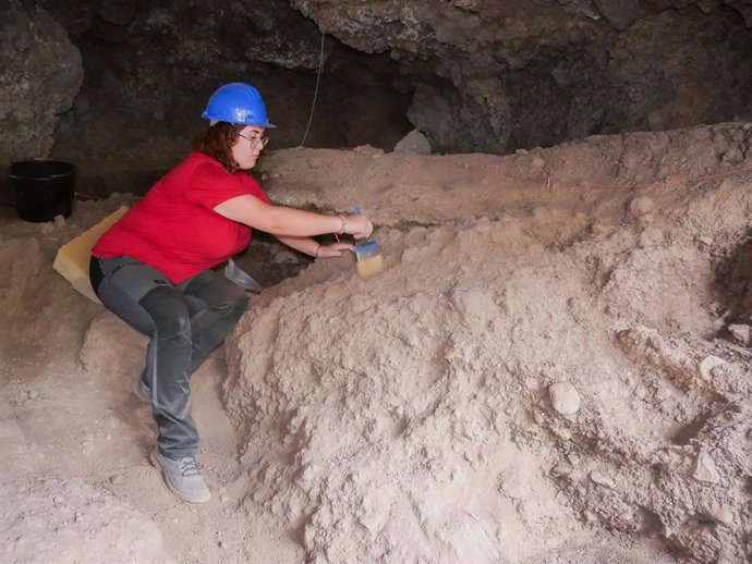 La Dirección General de Patrimonio Cultural del Gobierno de Canarias ha reanudado la investigación arqueológica en la Cueva de los Cabezazos en el municipio de Tegueste, en Tenerife