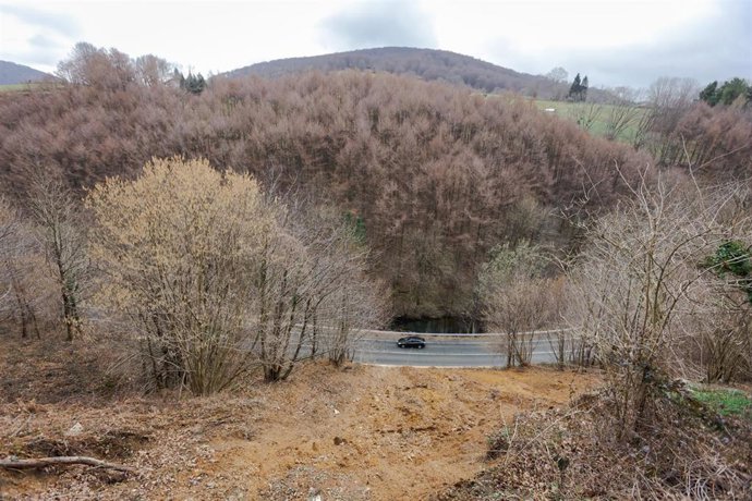 Archivo - El Gobierno licita por 450.000 euros la estabilización del talud situado en Leitza junto a la Vía Verde del Plazaola 