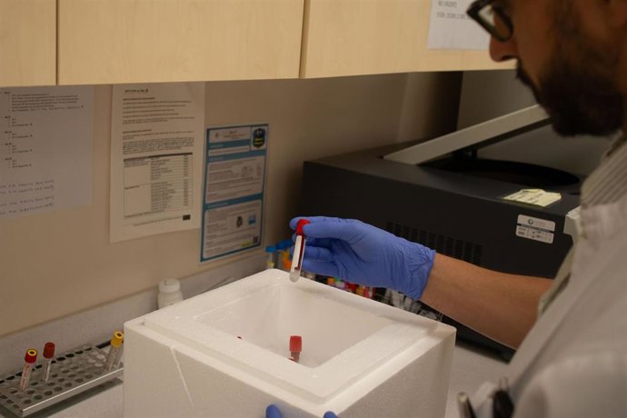 Los hospitales Virgen del Rocío de Sevilla y Sant Joan de Déu Barcelona han colaborado en una investigación que ha permitido describir una nueva y rara enfermedad relacionada con una mutación del gen DOCK11.