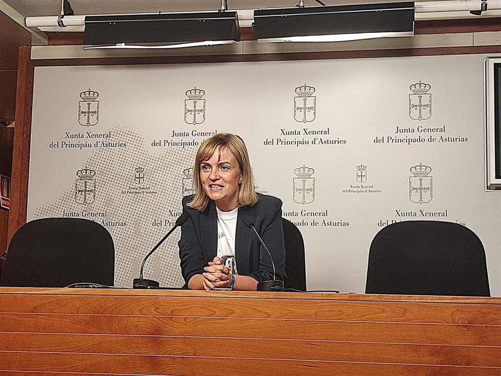 La diputada del grupo mixto Covadonga Tomé (Podemos) en rueda de prensa.