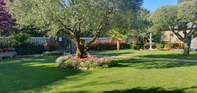Sequeros Florece, iniciativa popular para potenciar los espacios verdes en la Sierra de Francia