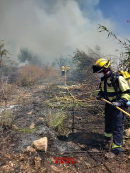 Un incendio quema vegetación en las huertas del Rec Major (Tarragona) en un lateral de la vía N-240