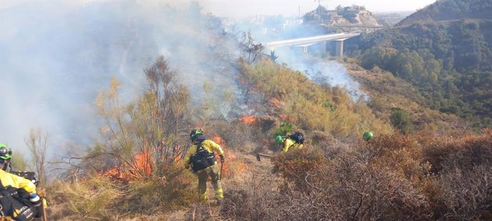 Bomberos del Infoca, en las labores de extinción del incendio forestal en Marbella