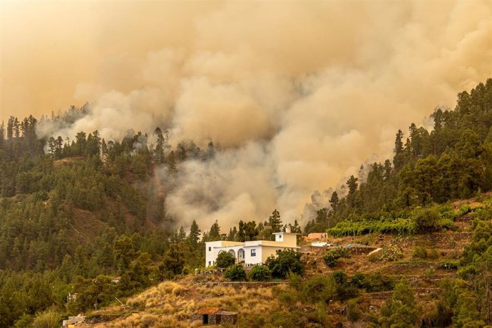 Humo provocado por el incendio forestal declarado en  la Palma, cerca de una vivienda, a 15 de julio de 2023, en Puntagorda, La Palma, Canarias (España).