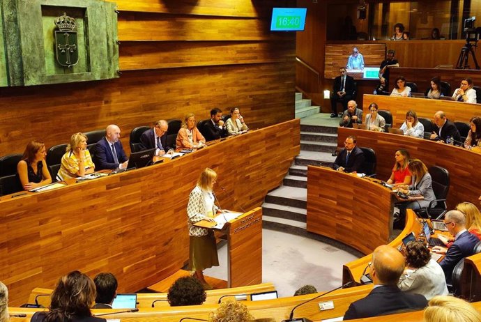 La diputada de Podemos, Covadonga Tomé, en el debate de investidura