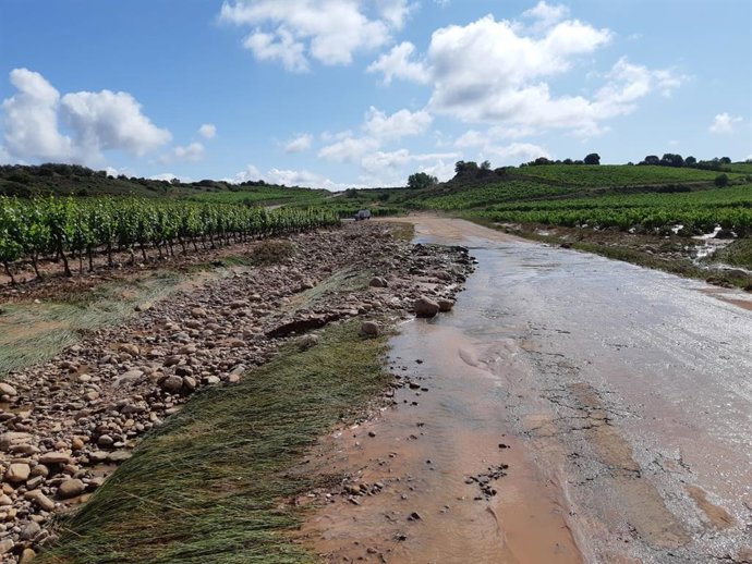 Viñedos riojanos afectados por la fuerte tormenta del miércoles
