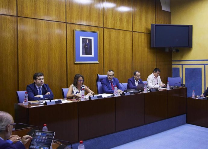 Comisión de Salud y Consumo en el Parlamento de Andalucía