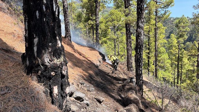 Medios terrestres participan en las labores de extinción del incendio de La Palma